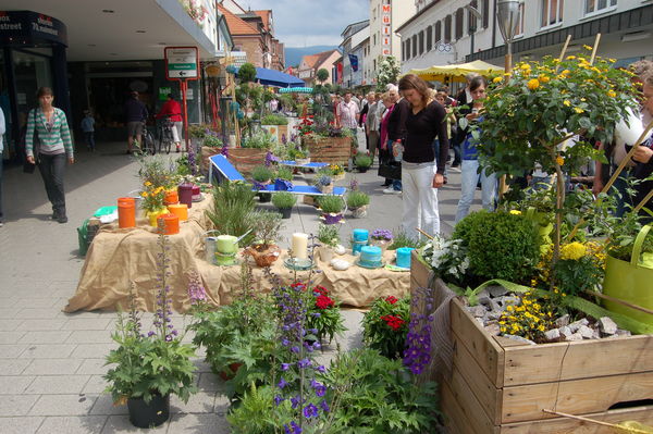 Achern Urlaubsland Baden Württemberg