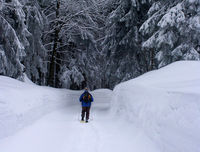 Winterwanderung auf der Forststraße bei Achslach