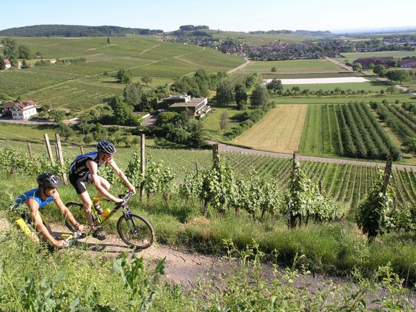 Mountainbikefahren in den Weinbergen um Auggen 