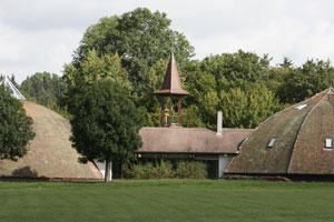 Narrenschopf Bad Dürrheim