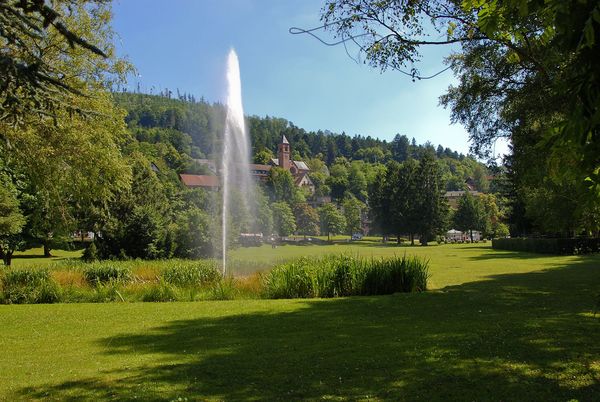 Schweizer Wiese