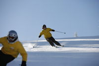 Skifahrer