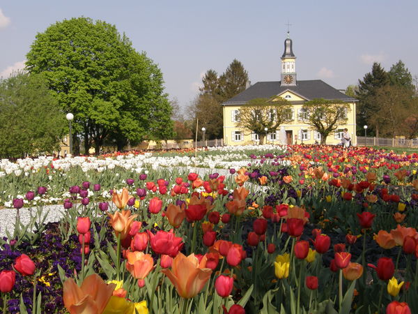 Bad Rappenau Urlaubsland BadenWürttemberg