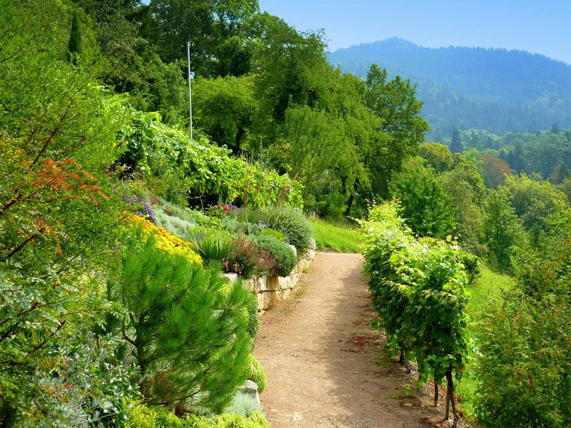 Hildegard von Bingen Garten Markgräflerland