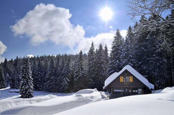 Wandern im schwarzwald