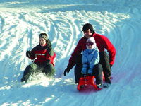 Familienspaß auf der Winterrodelbahn am Silberberg in Bodenmais