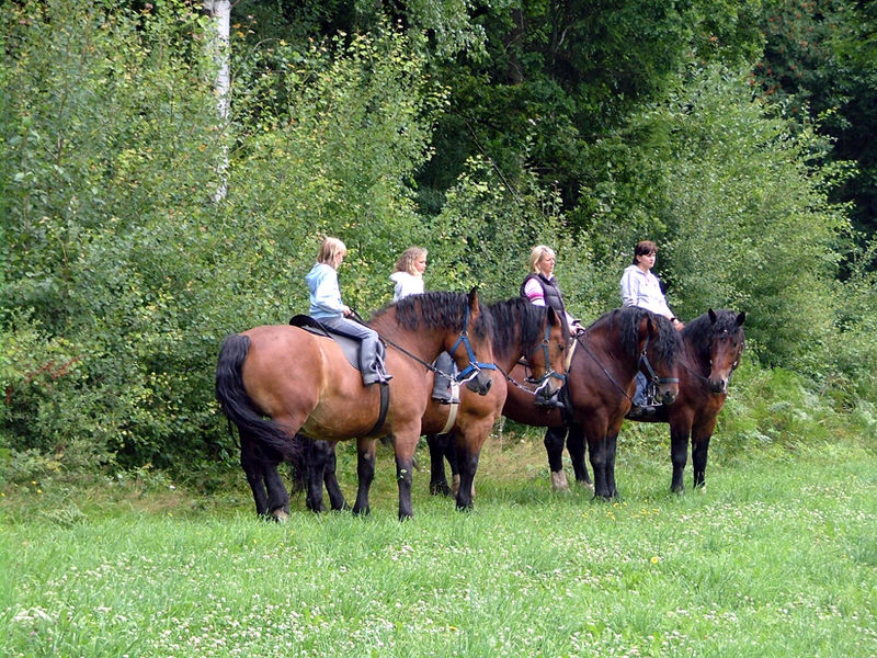 Kinderspaß beim Reiten auf dem Ferienhof Pauli in Katzenbach bei Böbrach