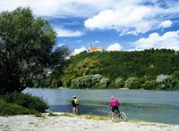 Radler am Donauufer mit Blick zum Bogenberg