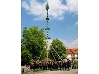 Maibaumaufstellen mit Blasmusik in Breitenberg im Passauer Land