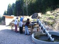 Steinewaschen auf dem Naturerlebnisplatz bei Dachsberg