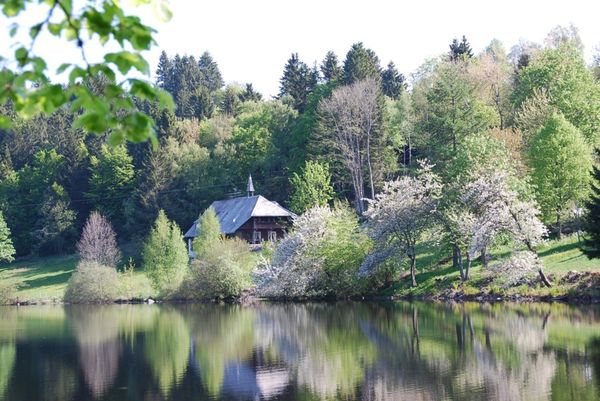 Frühling am Klosterweiher mit Kirschblüte