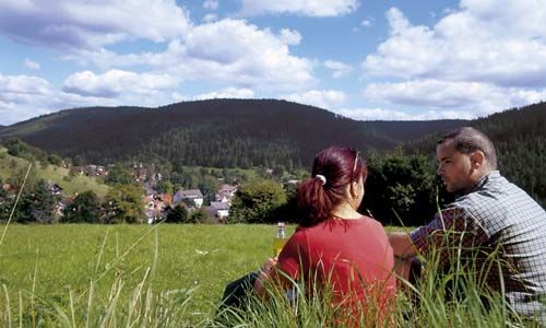 Blick von der Erdbeerplatte auf Enzklösterle
