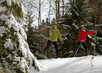 Langlaufgebiet Vorderer Bayerischer Wald