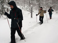 Schneeschuhtour durch den tief verschneiten Nationalpark Bayerischer Wald