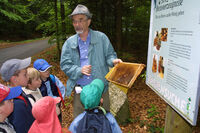 Interessantes über die Bienen erfahren die Kinder auf dem Bienenerlebnisweg in Freyung