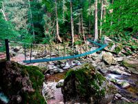 Hängebrücke in der Buchberger Leite bei Freyung im Bayerischen Wald