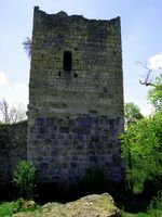 Ruine Kallenberg