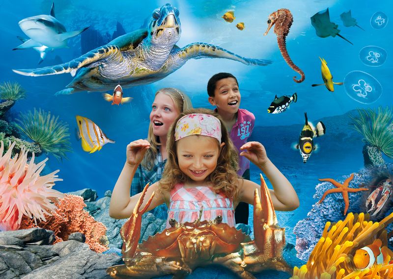SEA LIFE Konstanz Urlaubsland BadenWürttemberg