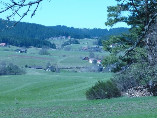 Landschaftschutzgebiet Sulzbachtal Werbegemeinschaft Kinzigtal