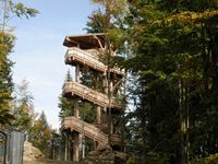 Aussichtsturm beim Haus zur Wildnis in Ludwigsthal