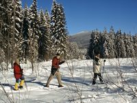 Schneeschuhtour ins Kolbersbachtal mit Blick zum Falkenstein