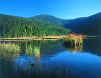 Blick vom Kleinen Arbersee zum Großen Arber