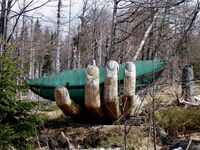 Die Glasarche im Waldmeer Europas am Lusen im Nationalpark Bayerischer Wald