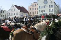 Pferde weit und breit auf dem Stadtplatz beim Regener Osterritt