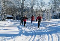 Wintertraum im Langlaufgebiet Kohlau bei Rinchnach im ArberLand Bayerischer Wald