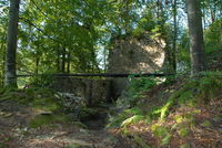 Blick auf die Burgruine Dießenstein bei Saldenburg im Bayerischen Wald