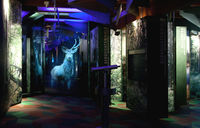 Die Installation Waldgesellschaften im Waldgeschichtlichen Museum St. Oswald im Nationalpark Bayerischer Wald