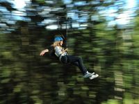 An sieben Ziplines sausen Wagemutige im Heubachtal bei Schiltach über Tannen