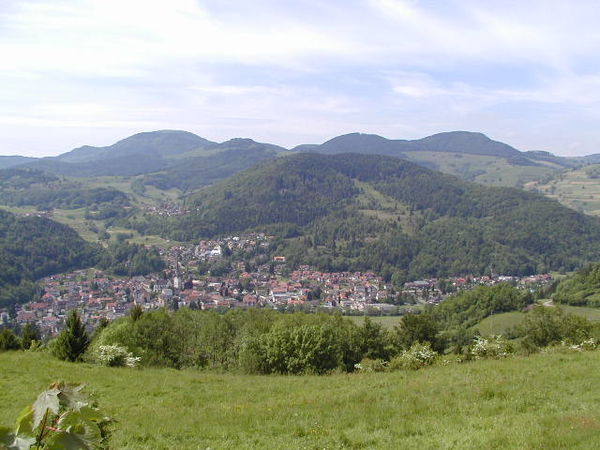 Blick auf Schönau im Schwarzwald
