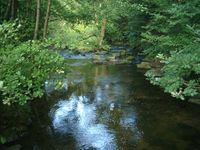 Romantische Flußlandschaft an der Mitternacher Ohe bei Schönberg