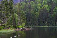 Der geheimnisvolle Rachelsee im Nationalpark Bayerischer Wald