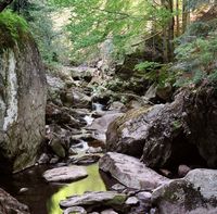 Naturjuwel wildromantische Steinklamm in Spiegelau