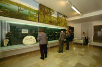Meteorkratermuseum 