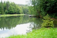 Der Buchwiesweiher bei Thurmansbang im Ilztal und Dreiburgenland