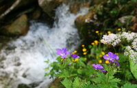 Wasserkessel Schleifmühlklamm
