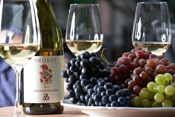 weingut schloss neuweier baden baden weingut schloss neuweier baden baden