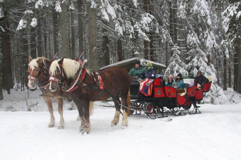 Romantische Schlittenfahrt durch den Bayerischen Wald