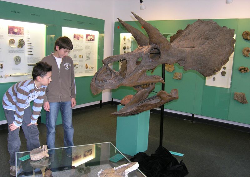Urweltmuseum Aalen