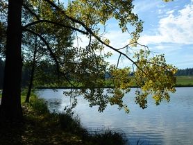 Hammerschmiedesee