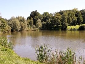 Laubbach Stausee