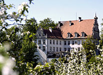 Schloss Neubronn