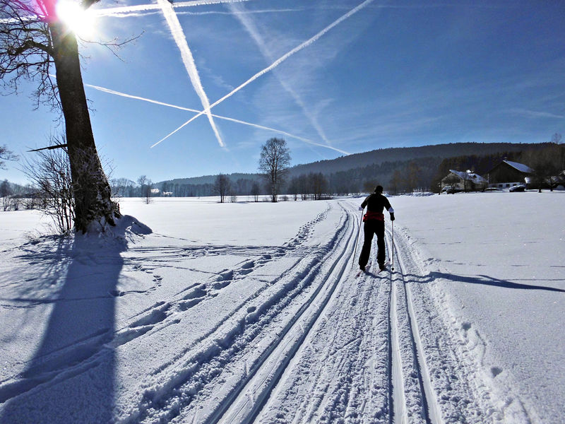 Langlaufen in Achslach im Bayerischen Wald