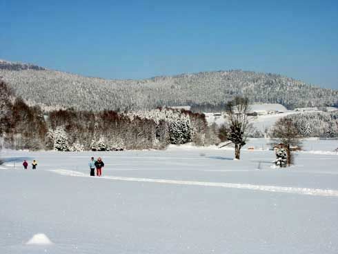 Wintererlebnis beim Langlauf in der Loipe Achslach-Wolfertsried-Lindenau