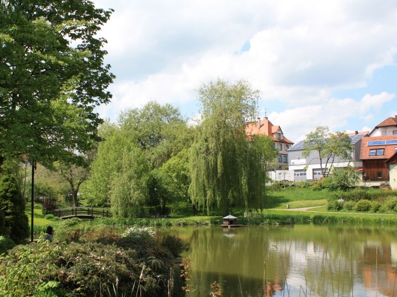 Dorfweiher Adelsmannsfelden