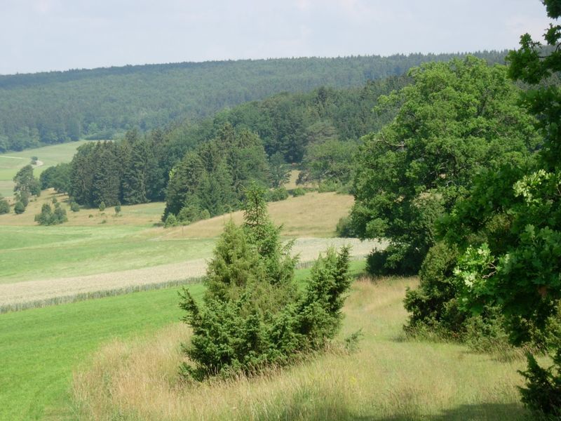 Hungerbrunnental bei Altheim (Alb)