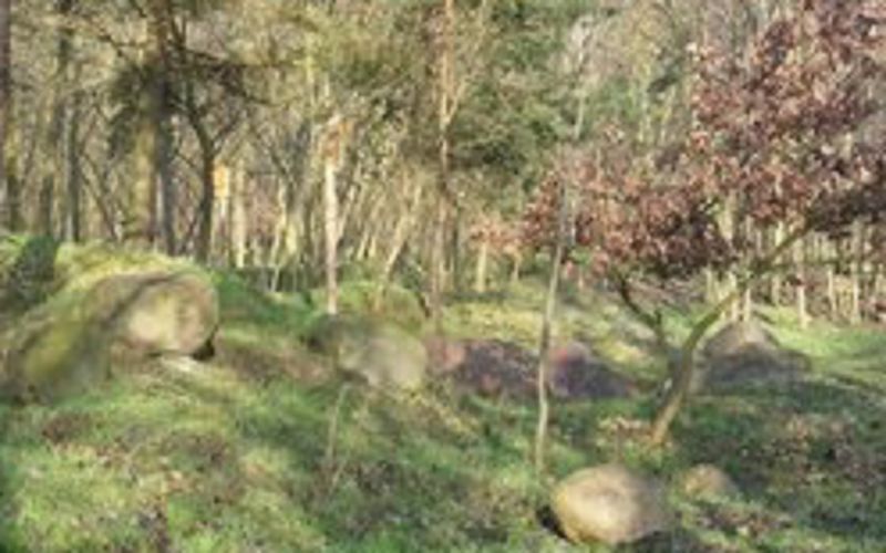 Geologischer Lehrpfad Altranft